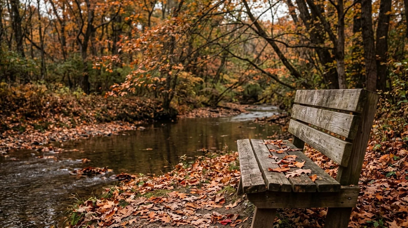 Outdoor Bench With Fallen Leaves Beside a Quiet Creek During Substance Use Treatment | Recreate Behavioral Health of Ohio